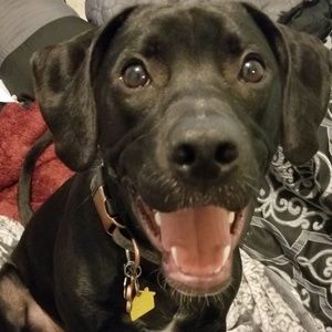 Meet your Posher, Kimberlee